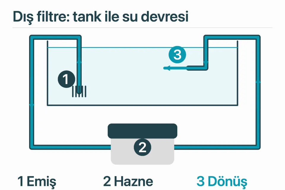 Akvaryumdan emiş hattıyla dış filtre haznesine giden ve dönüş hattından tanka gelen su devresi